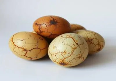 افزایش دمای محیط، در تابستان، ایمنی میکروبی تخم‌مرغ را به‌طور جدی تهدید می‌کند